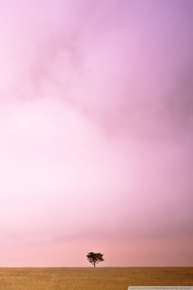 Lone tree dry grass purple free wallpaper - medium preview image