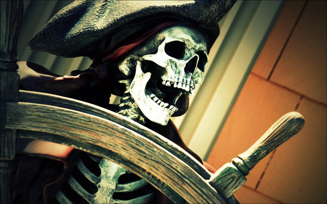 Skeleton pirate costume steering wheel free wallpaper - medium preview image