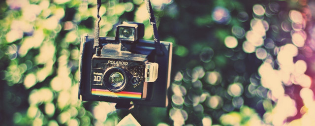 Camera tree rainbow light blurry free wallpaper - medium preview image