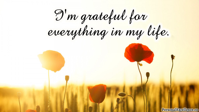 Red flowers grateful everything life #2 free wallpaper - medium preview image