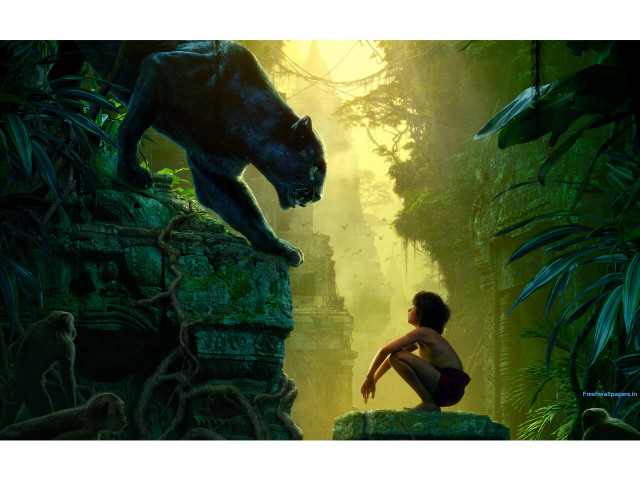Young boy rock jungle black free wallpaper - medium preview image