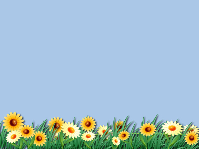 Yellow flowers blue background white free wallpaper - medium preview image