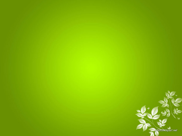 Green background white flowers top free wallpaper - medium preview image