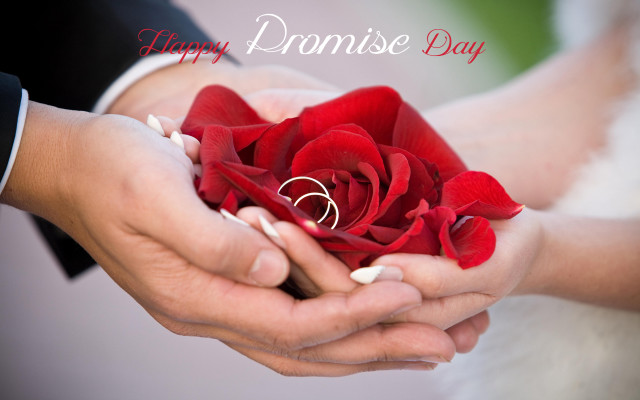 Couple red rose wedding ring free wallpaper - medium preview image