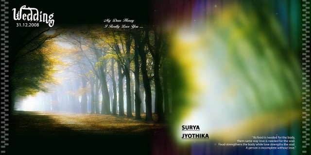 Forest light foggy path trees free wallpaper - medium preview image