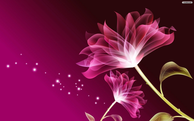 Pink flower green stem purple #2 free wallpaper - medium preview image