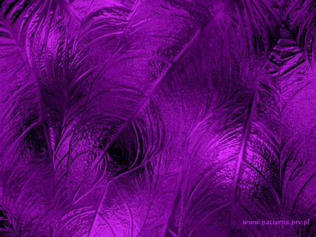 Purple background feathers black background free wallpaper - medium preview image