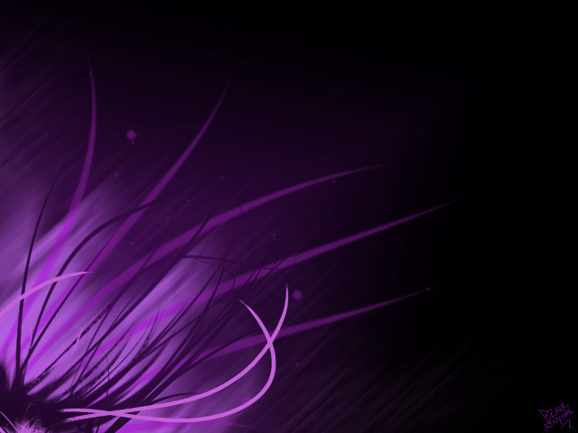 Purple flower with long stem free wallpaper - medium preview image