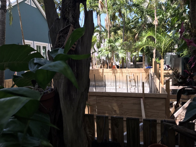 Wooden deck trees plants backyard free wallpaper - medium preview image