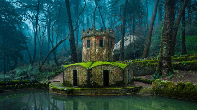 Building forest pond green roof free wallpaper - medium preview image