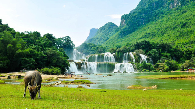 Horse grazing field waterfall river free wallpaper - medium preview image