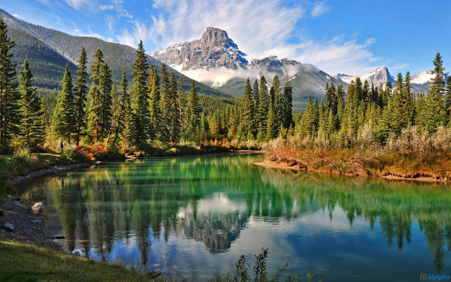Mountain lake trees foreground distant free wallpaper - medium preview image