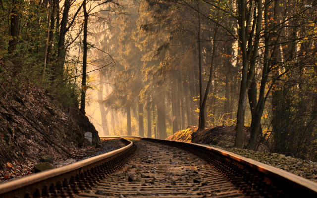 Train track forest trees foggy free wallpaper - medium preview image
