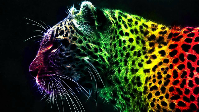 Colorful leopard black background rainbow #4 free wallpaper - medium preview image
