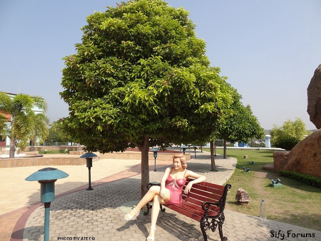 Woman sitting bench park tree free wallpaper - medium preview image