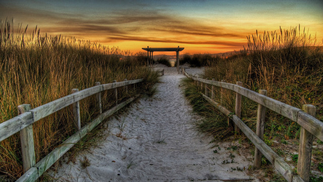 Path beach gate tall grass free wallpaper - medium preview image