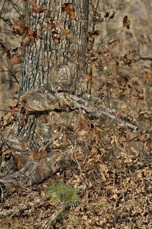 Camouflaged bird woods tree trunk free wallpaper - medium preview image