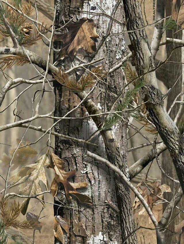 Camouflage background tree camouflage background free wallpaper - medium preview image