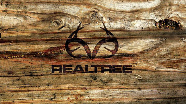 Wood logo closeup tree trunk free wallpaper - medium preview image