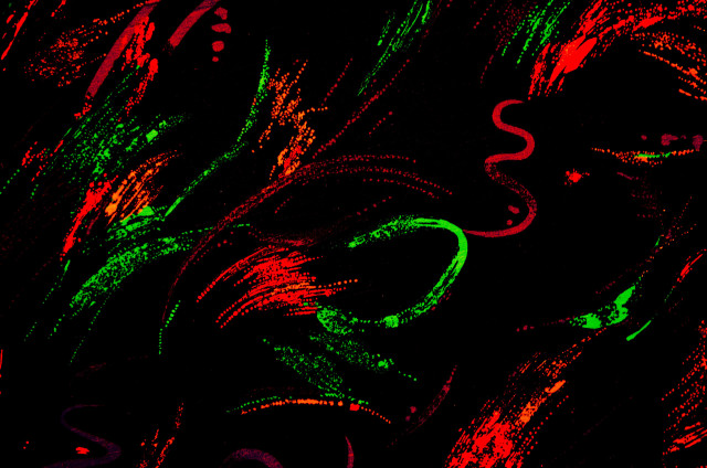 Black background red green swirl free wallpaper - medium preview image