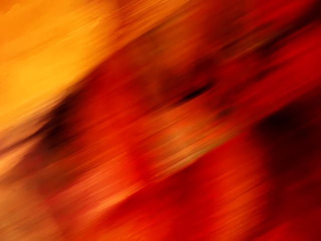 Blurry red yellow cat back free wallpaper - medium preview image