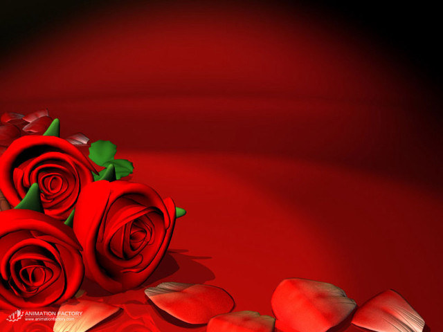 Red roses table heart shaped free wallpaper - medium preview image