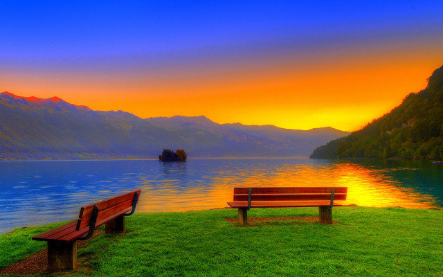 Bench lush green field lake free wallpaper - medium preview image