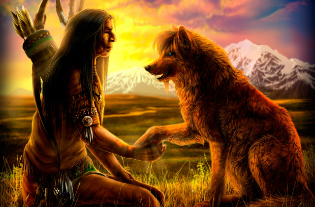 Native american man wolf field free wallpaper - medium preview image