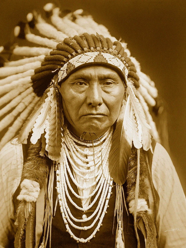Native american man headdress feathers free wallpaper - medium preview image