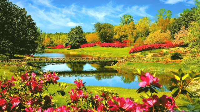 Pond bridge park flowers trees free wallpaper - medium preview image