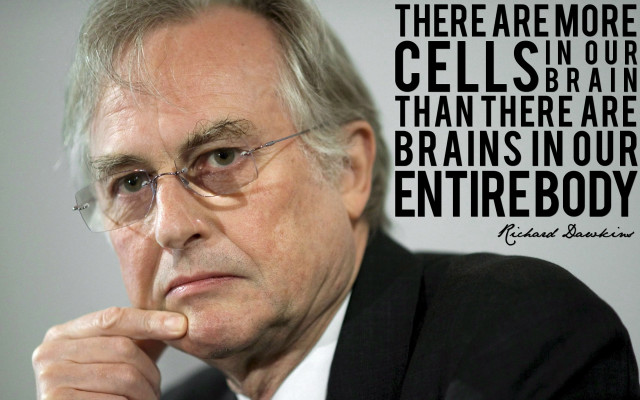 Man glasses suit quote brain free wallpaper - medium preview image