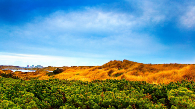 Field hill water sky forest free wallpaper - medium preview image