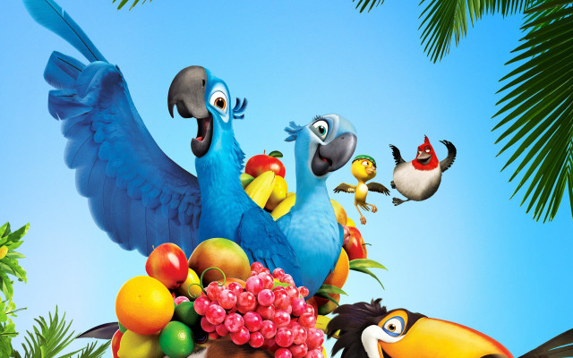 Birds fruit pile palm tree free wallpaper - medium preview image