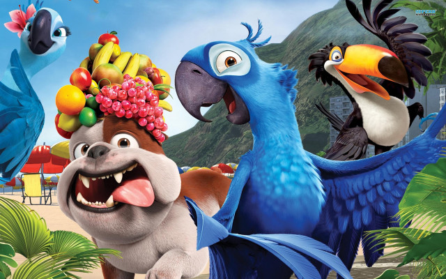 Bird dog fruit heads cartoon #2 free wallpaper - medium preview image