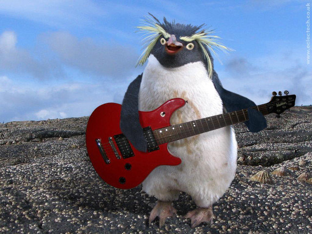 Penguin red guitar rocky surface free wallpaper - medium preview image