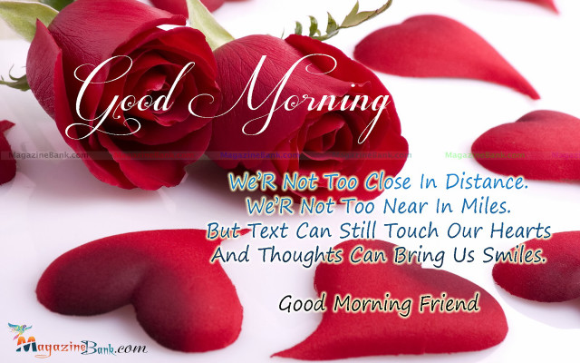 Red rose good morning message free wallpaper - medium preview image