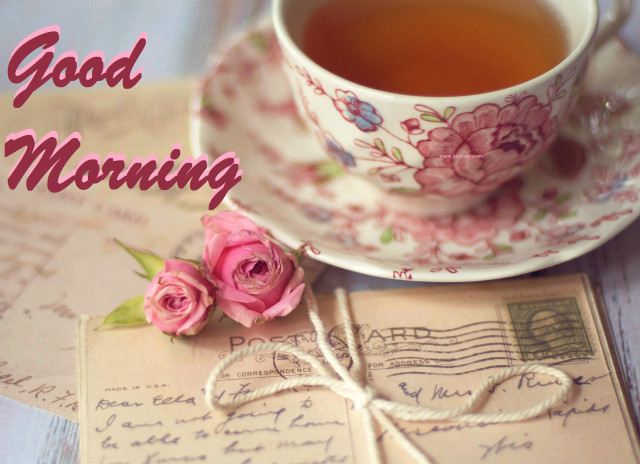 Cup tea rose table note free wallpaper - medium preview image