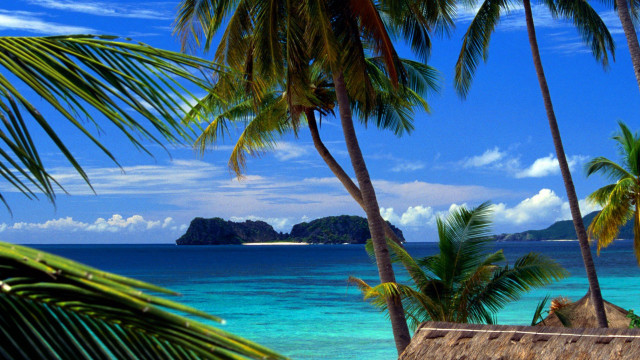 Beach palm trees blue ocean #2 free wallpaper - medium preview image