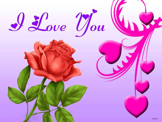 Pink rose hearts purple border free wallpaper - medium preview image