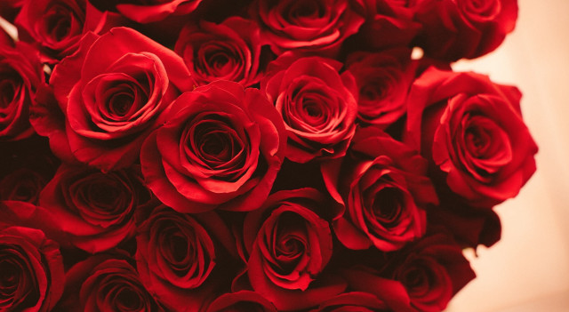 Red roses vase tabletop arrangement free wallpaper - medium preview image