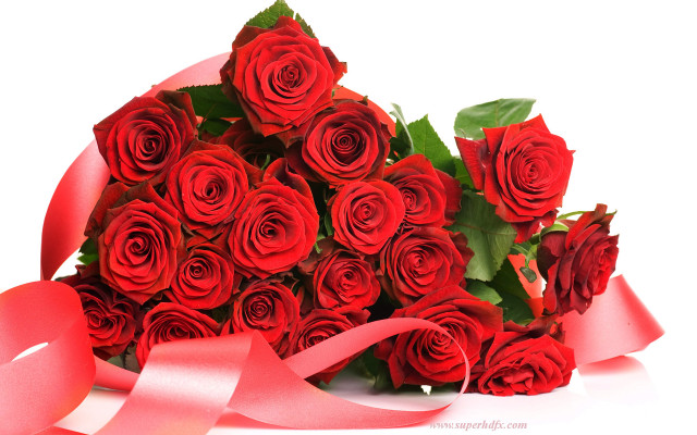 Red roses bouquet pink ribbon free wallpaper - medium preview image