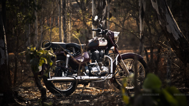 Motorcycle parked woods near trees free wallpaper - medium preview image