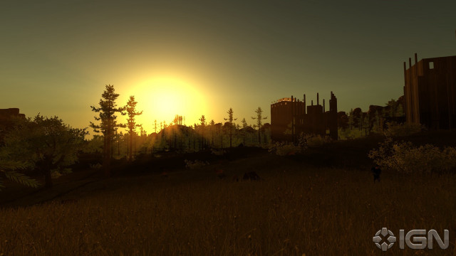 Sunset city trees person walking #2 free wallpaper - medium preview image