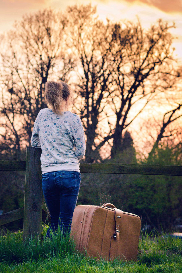Woman fence suitcase tree background free wallpaper - medium preview image
