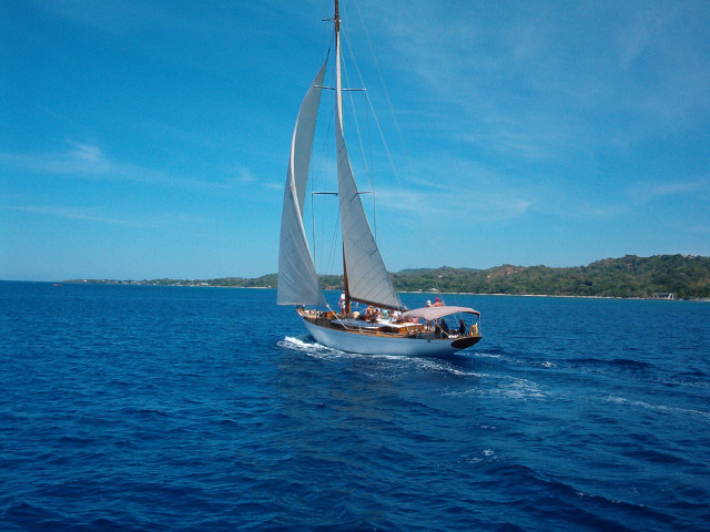 Sailboat people ocean sunny day free wallpaper - medium preview image