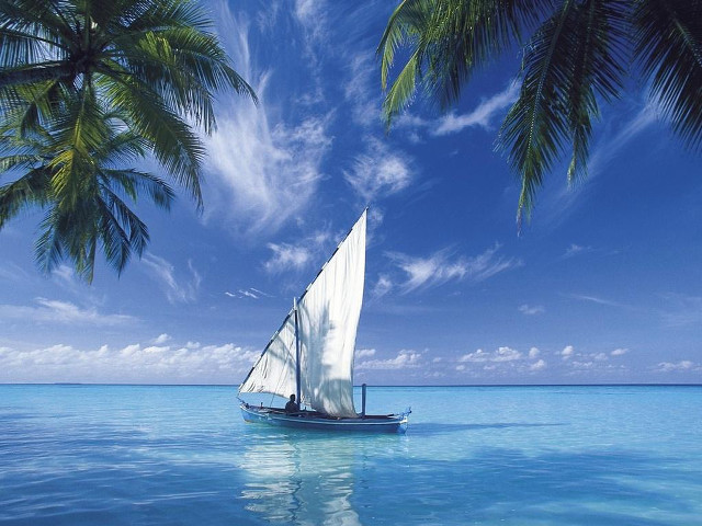 Sailboat ocean palm trees blue #2 free wallpaper - medium preview image