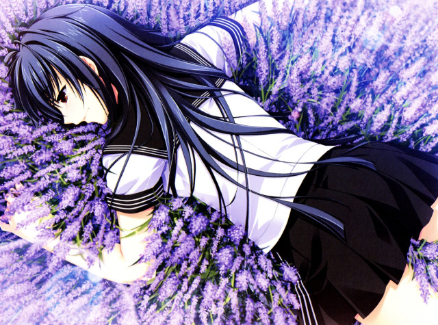 Girl laying field flowers arms free wallpaper - medium preview image