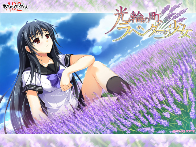 Girl sitting lavender field legs free wallpaper - medium preview image