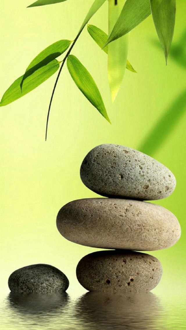 Bamboo leaf rocks water surface #2 free wallpaper - medium preview image