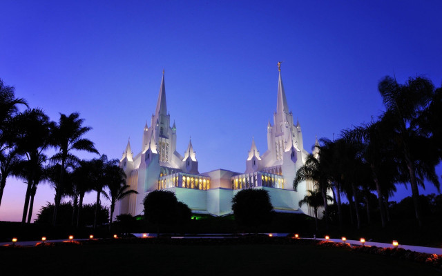 Cathedral night palm trees blue free wallpaper - medium preview image